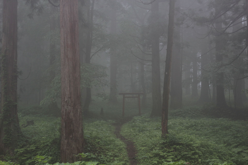 Puerta torii en el monte Haguro. Wikimedia Commons